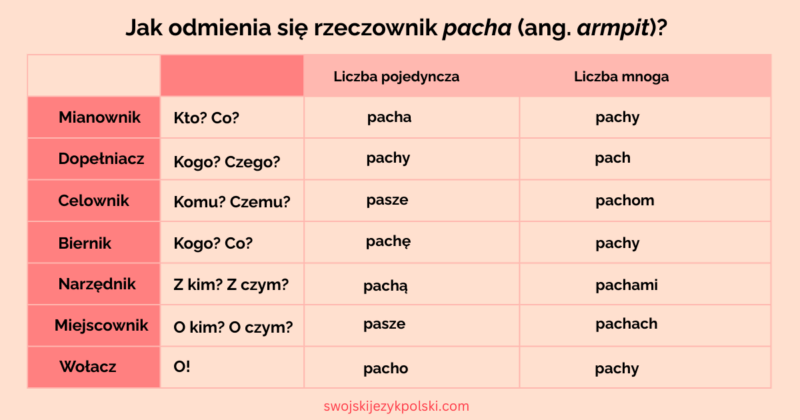 Przypadki W J zyku Polskim Odmiana Rzeczownika Przez Przypadki 